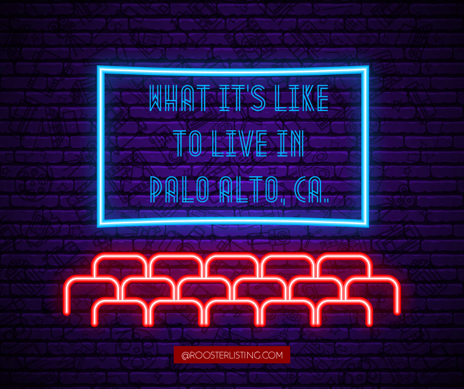 What It’s Like to Live in Palo Alto, CA.