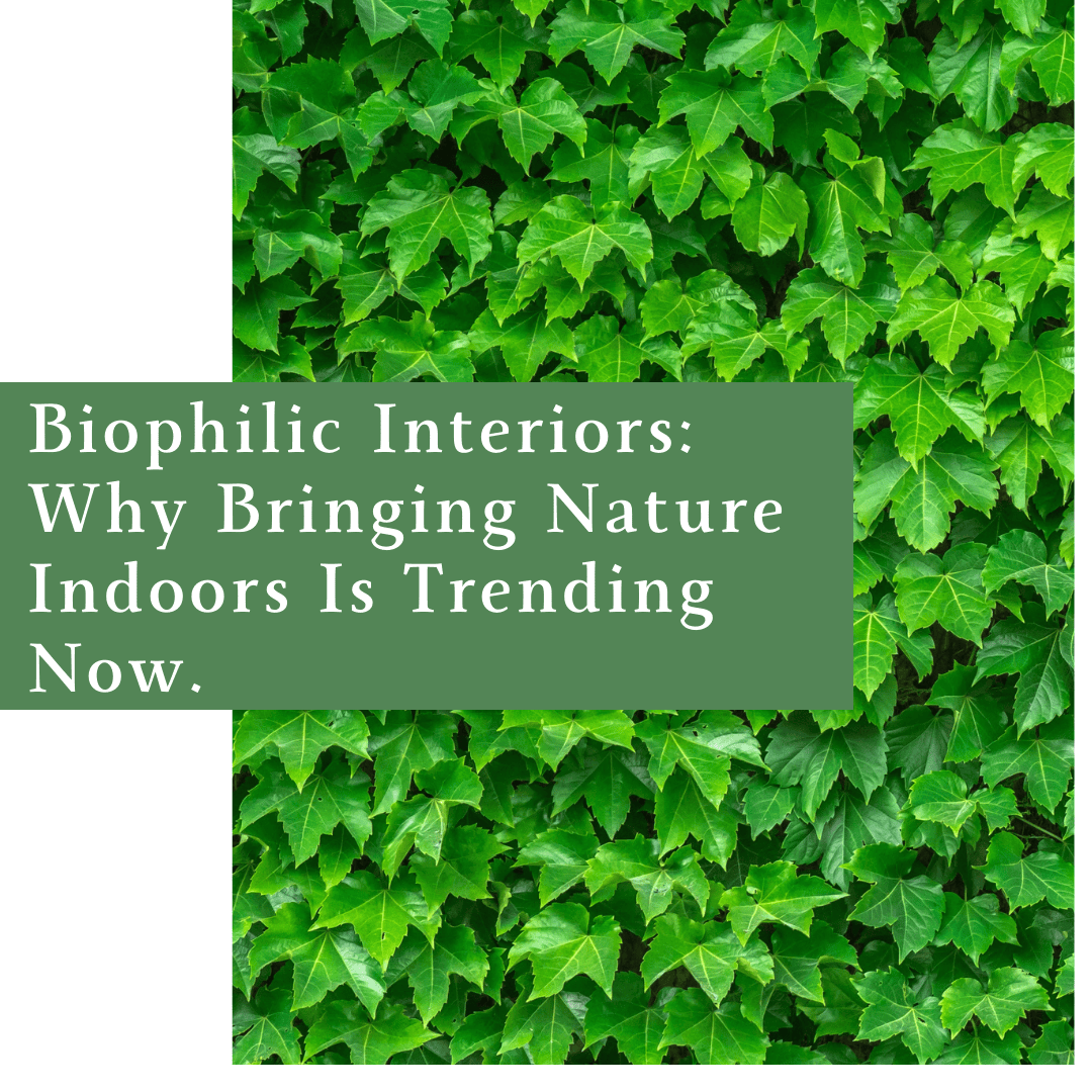 Biophilic Interiors: Why Bringing Nature Indoors Is Trending Now.