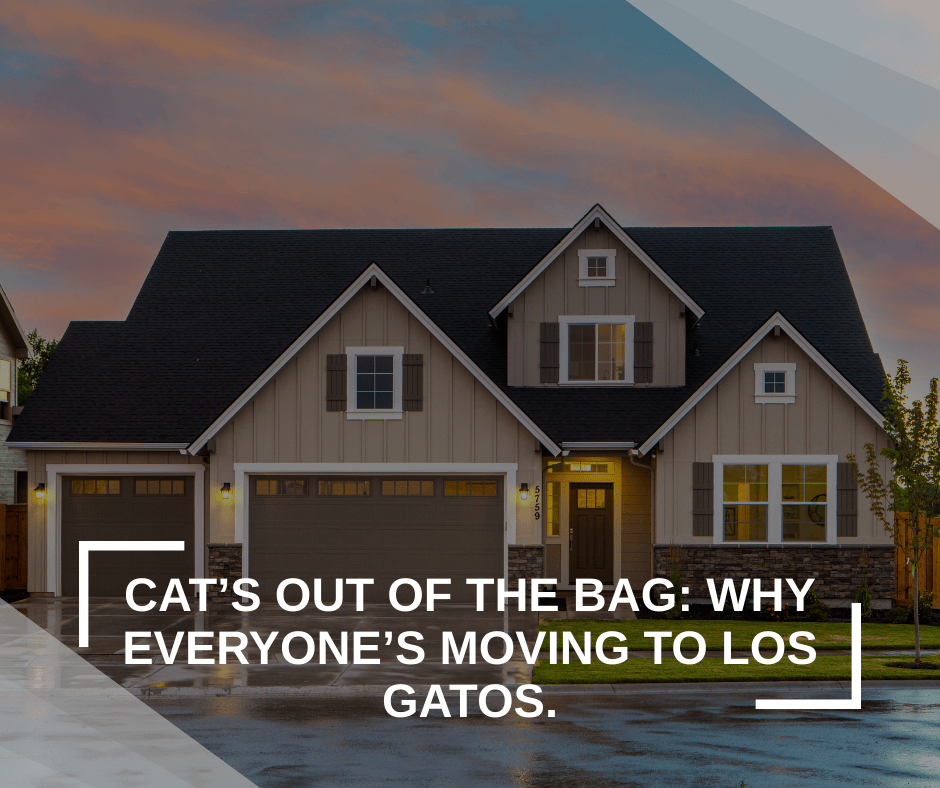 Cat’s Out of the Bag: Why Everyone’s Moving to Los Gatos.