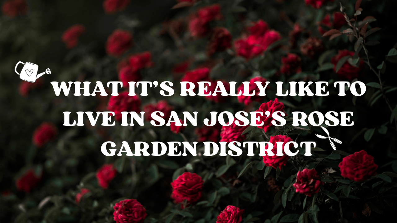 What It’s Really Like to Live in San Jose’s Rose Garden District