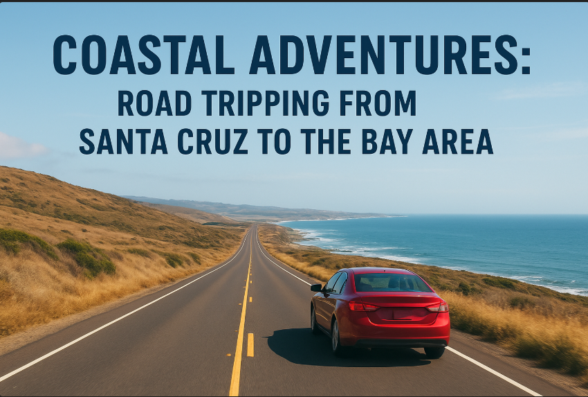 Coastal Adventures: Road Tripping From Santa Cruz to the Bay Area